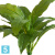 Спатифиллум-мини куст искусственный зелёный (Sensitive Botanic) TREEZ Collection