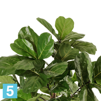 Фикус искусственный TREEZ Collection Лирата Style на штамбе 220h в #REGION_NAME_DECLINE_PP#
