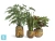 Кашпо TREEZ Effectory Savage Garden Чаша King, терракот и синий 23-d, 23-h