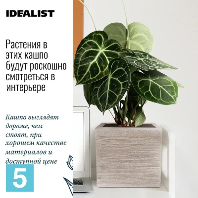 Кашпо IDEALIST Флоранжери квадратное, бежевое 24-l, 24-w, 22-h