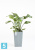 Высокое кашпо Ecopots Rotterdam-MH, серо-голубое 30-l, 30-w, 50-h