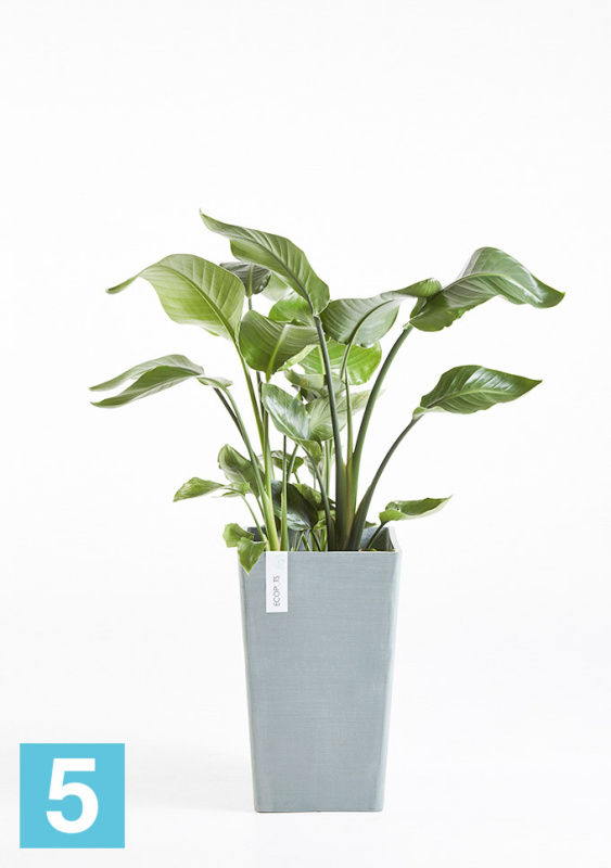 Высокое кашпо Ecopots Rotterdam-MH, серо-голубое 30-l, 30-w, 50-h