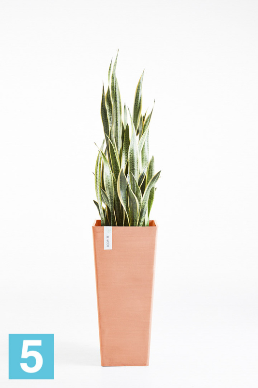 Высокое кашпо Ecopots Rotterdam-H, терракотовое 32-l, 32-w, 70-h