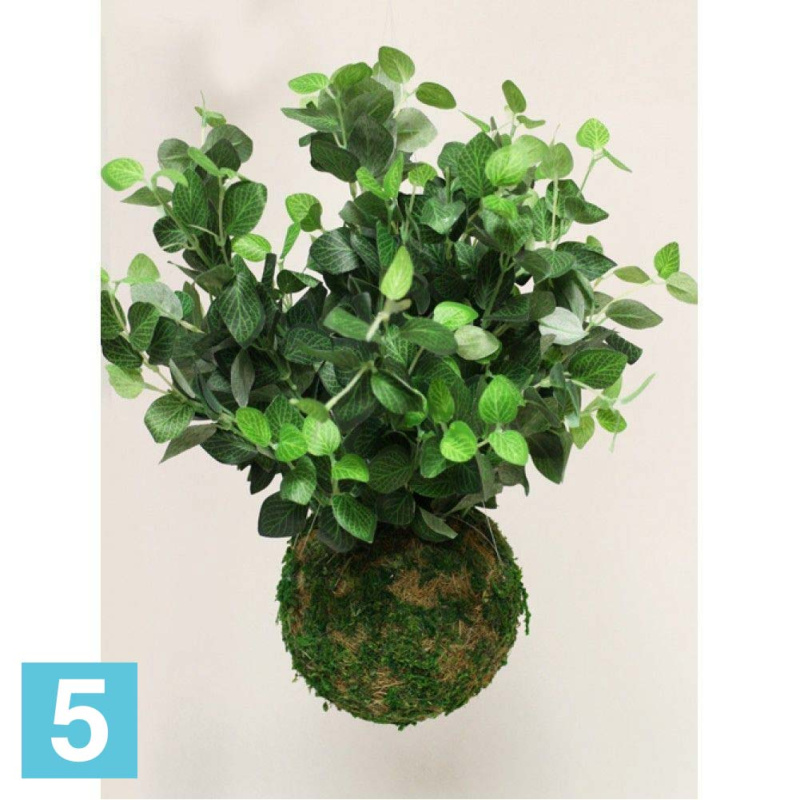 Кокедама искусственная Alseed, d-15 "Фиттония" мелк. лист