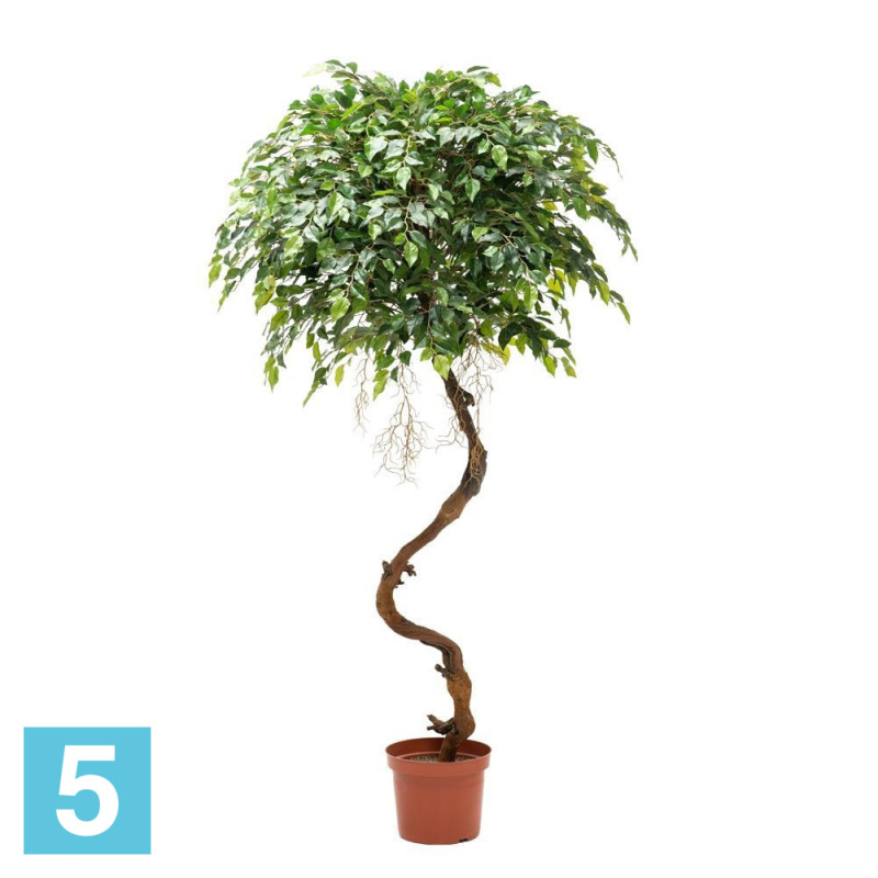 Фикус мелкий искусственный Alseed, h-180 см., латекс