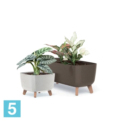 Кашпо Prosperplast GRACIA Square ECO Wood, белое 24-l, 24-w, 18,7-h