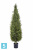 Кипарис Тауэр Элегант искусственный TREEZ Collection уличный 180h Кипарис Тауэр Элегант искусственный TREEZ Collection уличный 180h