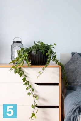 Кашпо Lamela Mira Eco Recycled миска, антрацит 30-d, 15,6-h