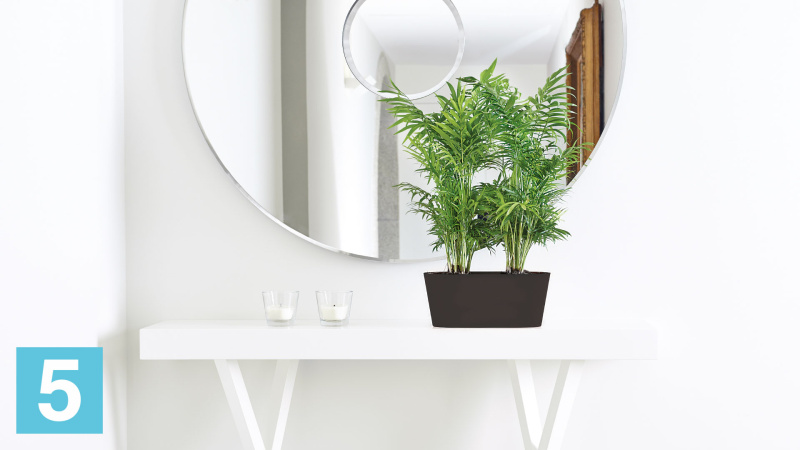 Настольное кашпо Artevasi Porto Plant Box, белое 30-l, 14-w, 13-h