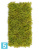 Мох Ягель светло-зелёный микс (коврик) искусственный TREEZ Collection 50h