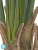 Искуственная стрелиция New Style (Sensitive Botanic) TREEZ Collection 180h