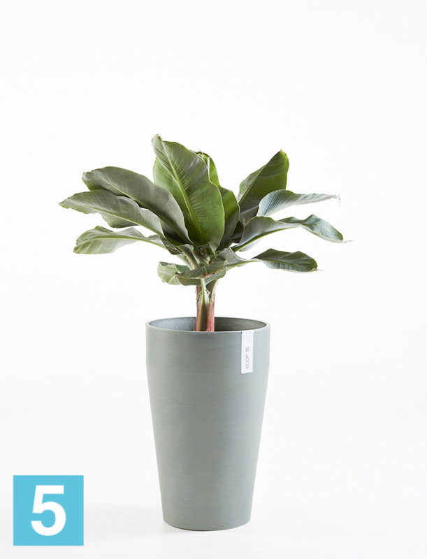 Высокое кашпо Ecopots Sankara-MH, серо-голубое 35-d, 55-h