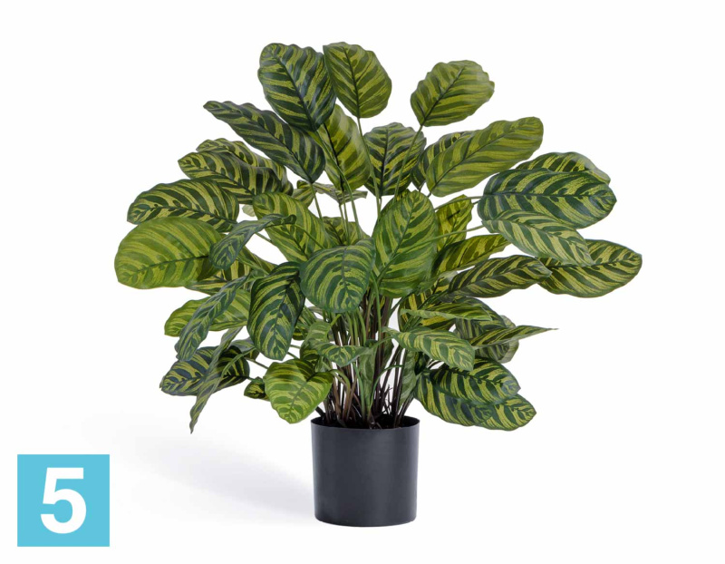 Калатея крупнолистная искусственная TREEZ Collection в горшке 75h