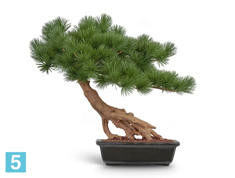 Бонсай искусственный стелющийся TREEZ Collection Сосна Японская белая Негиши в керамическом кашпо 55h