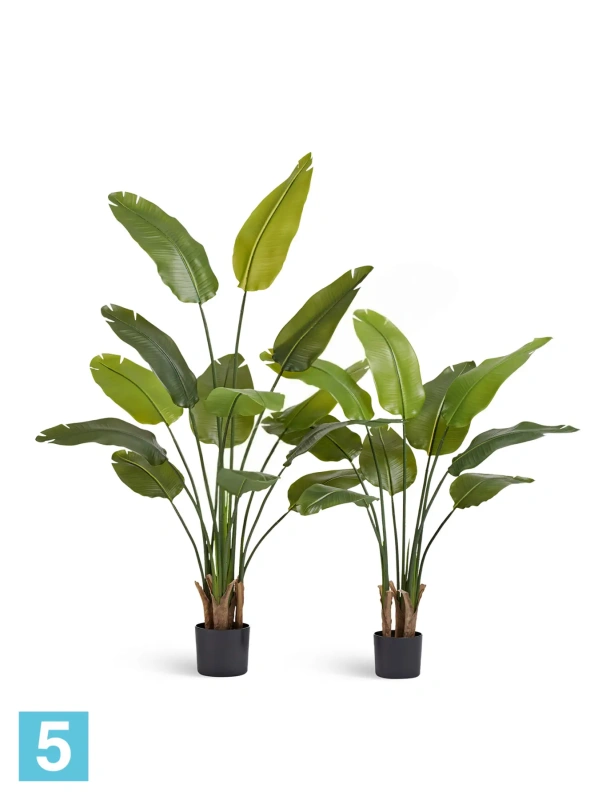 Искуственная стрелиция New Style (Sensitive Botanic) TREEZ Collection 110h