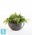 Напольное кашпо Ecopots Brussels, антрацит 35-d, 17-h