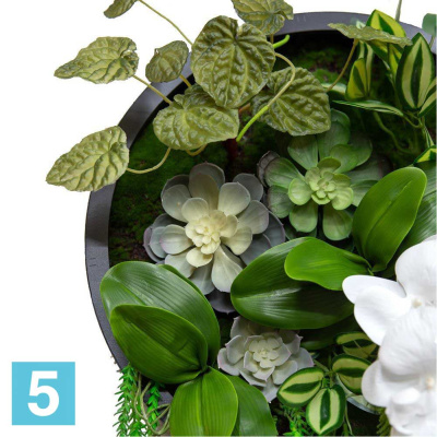 Фитопанно с подсветкой 55* искусственное Alseed, h-120 см.