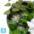 Фитопанно с подсветкой 55* искусственное Alseed, h-120 см. Фитопанно с подсветкой 55* искусственное Alseed, h-120 см.