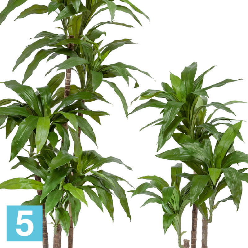 Драцена искусственная TREEZ Collection Джанет Крейг зеленая 150h
