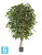 Фикус искусственный TREEZ Collection Бенджамина Де Люкс 240h