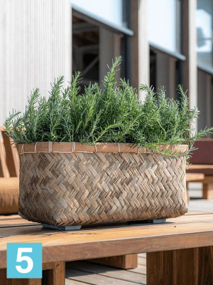 Кашпо Bohemian nouri xs bamboo l-40 w-20 h-21 см в #REGION_NAME_DECLINE_PP#