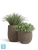 Кашпо TREEZ Effectory Terra Чаша middle, серый беж 55-d, 68-h