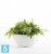 Настольное Кашпо Ecopots Brussels, светло-серое 30-d, 14-h