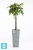Высокое кашпо Ecopots Rotterdam-H, серое 32-l, 32-w, 70-h