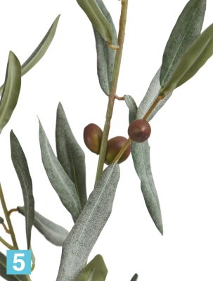 Искусственная ветвь Оливы большая с плодами TREEZ Collection (серия Prime) 115h