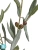 Искусственная ветвь Оливы большая с плодами TREEZ Collection (серия Prime) 115h