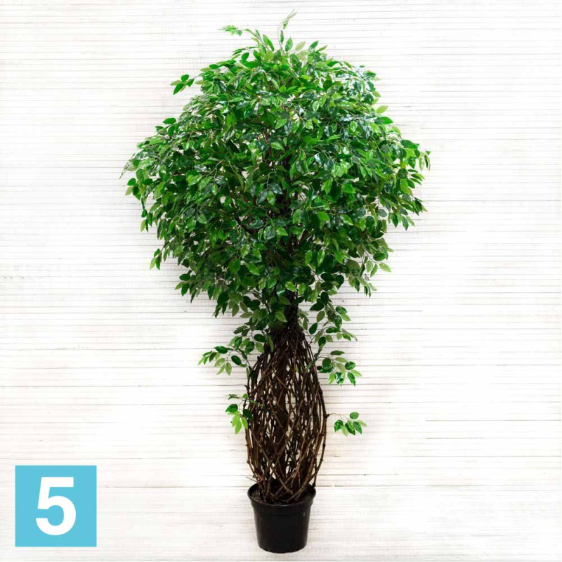 Фикус искусственный Alseed, h-220 см., латекс