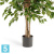 Фикус искусственный TREEZ Collection Бенджамина "Натуральный" 150h Фикус искусственный TREEZ Collection Бенджамина "Натуральный" 150h