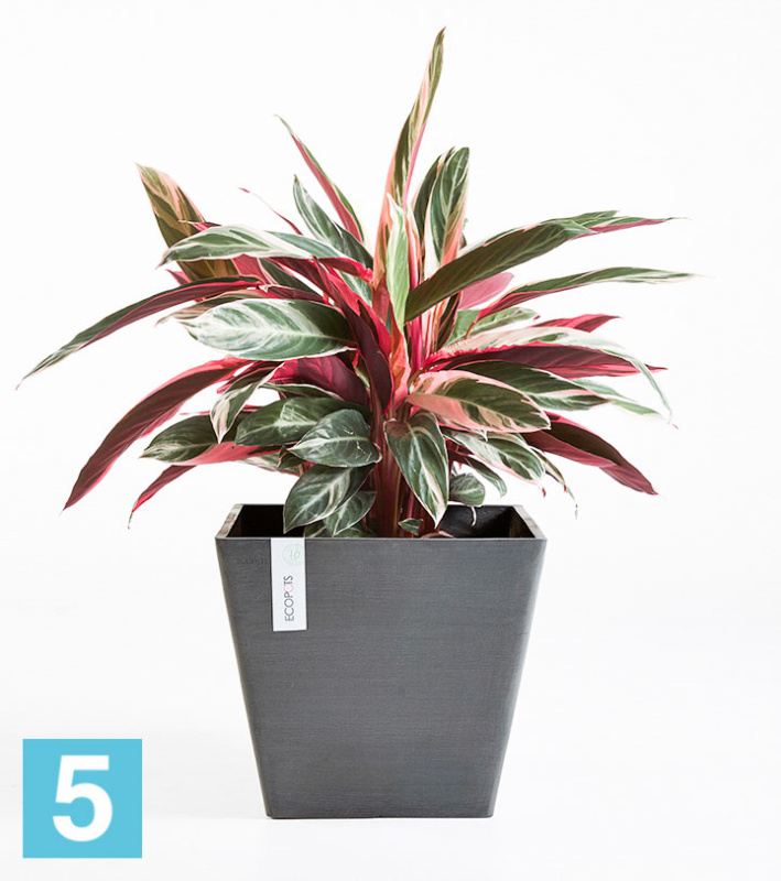 Напольное кашпо Ecopots Rotterdam, антрацит 40-l, 40-w, 35-h
