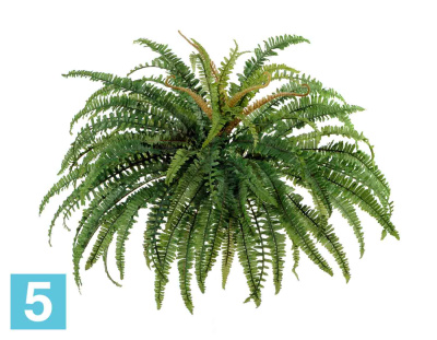 Искусственный Папоротник лесной TREEZ Collection 80-d, 50-h в #REGION_NAME_DECLINE_PP#