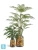Кашпо TREEZ Effectory Savage Garden Design-ваза King, терракот и синий 26-d, 43-h Кашпо TREEZ Effectory Savage Garden Design-ваза King, терракот и синий 26-d, 43-h