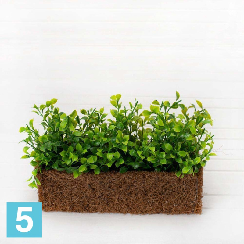 Самшит в кокосовом боксе искусственный Alseed, 25*8*8