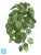 Искусственный Сциндапсус Пиктус куст ампельный TREEZ Collection (серия FR - огнезащита) 70h