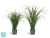 Искусственная трава Лемонграсс зелёная в горшке TREEZ Collection 70h