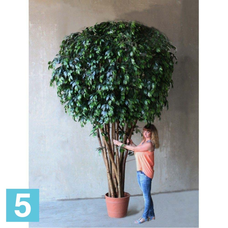 Фикус искусственный Alseed, 350 см.