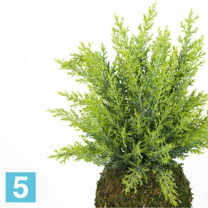 Кокедама искусственная Alseed, d-15 "Туя"