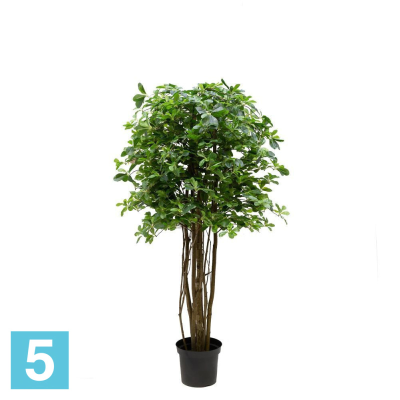 Шеффлера искусственная Alseed, h-160 см., латекс