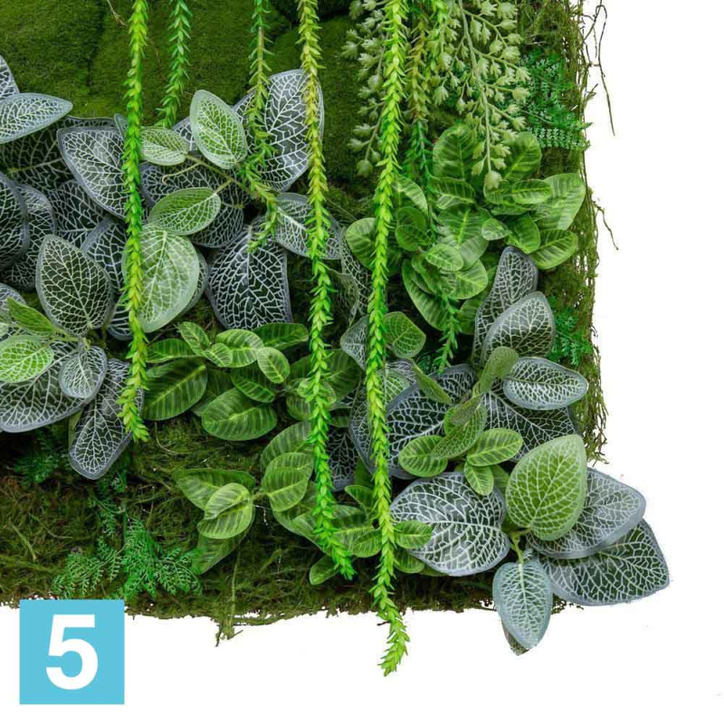 Фитокартина в белой крашенной раме искусственная Alseed, 1м*1м