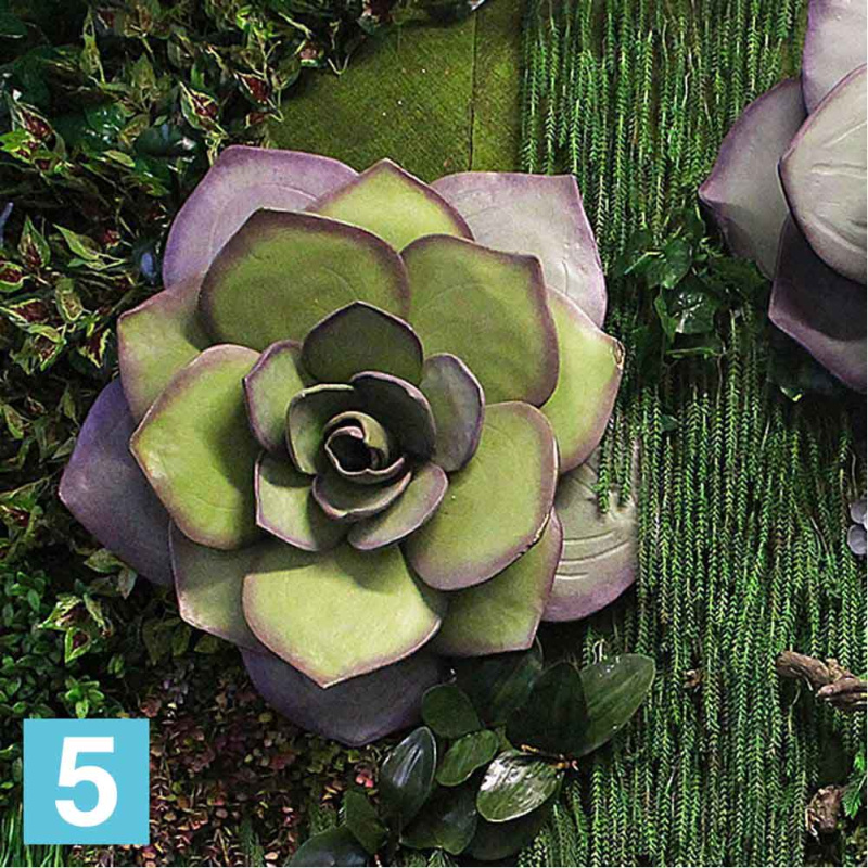 Эхеверия "Каменная Роза" средняя искусственная Alseed, d-65 см.