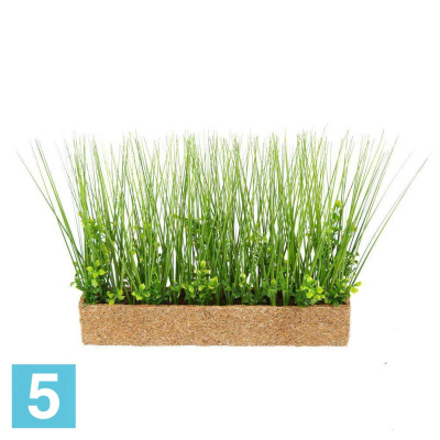 Осока с самшитом искусственная Alseed, h-28 см. в кокосовом боксе 50*8*8