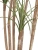 Искусственная Нолина Нитида TREEZ Collection 150h Искусственная Нолина Нитида TREEZ Collection 150h