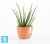 Настольное Кашпо Ecopots Stockholm, терракотовое 16-d, 12-h