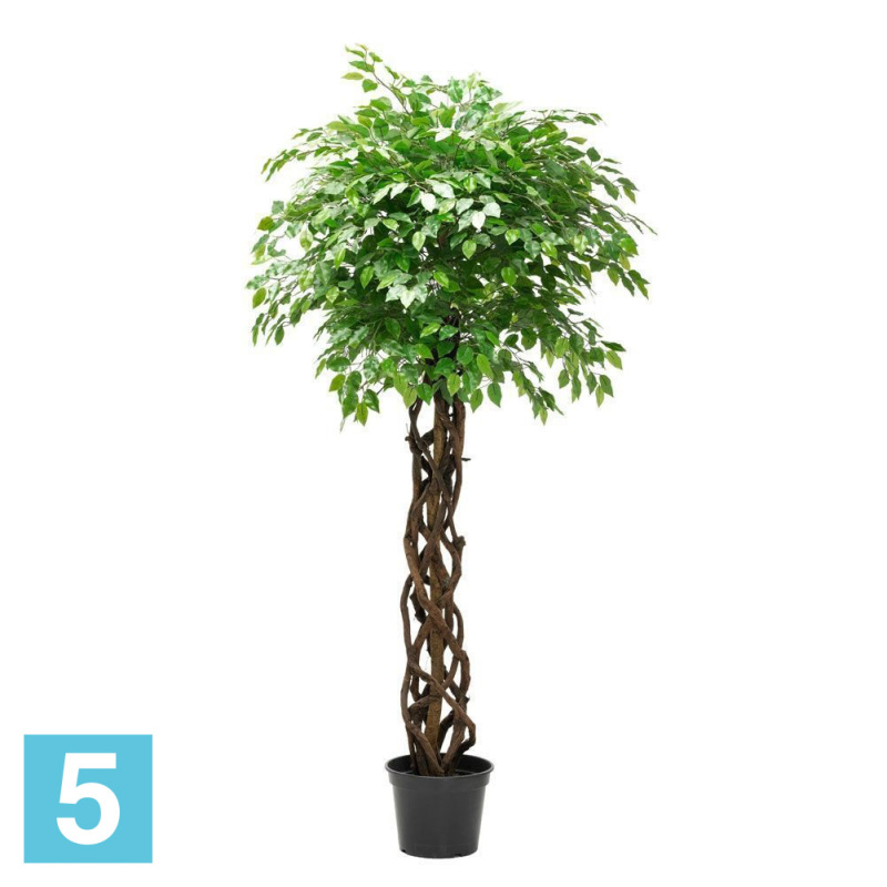 Фикус зеленый искусственный Alseed, h-200 см., латекс