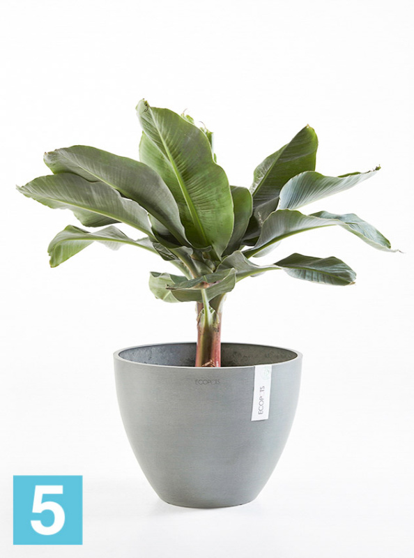 Напольное кашпо Ecopots Antwerp, серое 40-d, 30-h