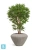 Кашпо TREEZ Effectory Moho Design-конус, белый песок 66-d, 50-h Кашпо TREEZ Effectory Moho Design-конус, белый песок 66-d, 50-h