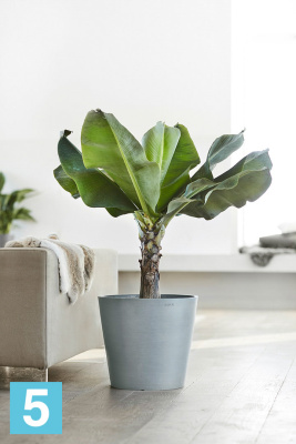 Большое кашпо на колёсиках Ecopots Amsterdam, серо-голубое 60-d, 56-h в #REGION_NAME_DECLINE_PP#